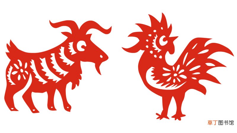属羊和属鸡合不合