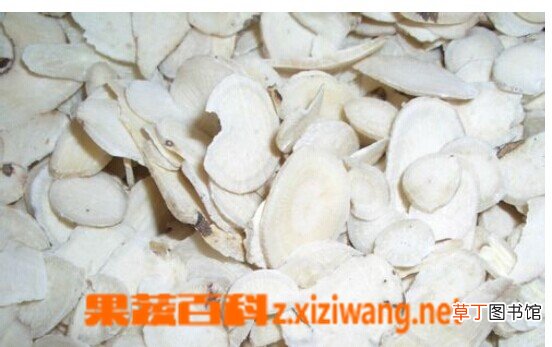 白术的功效与药用作用