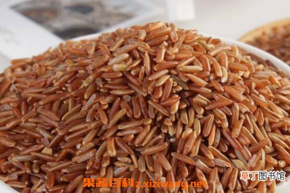 红糙米的功效与作用 吃红糙米的好处
