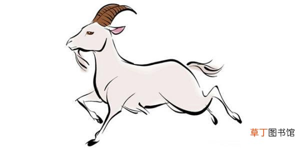 牛与羊属相能结婚吗
