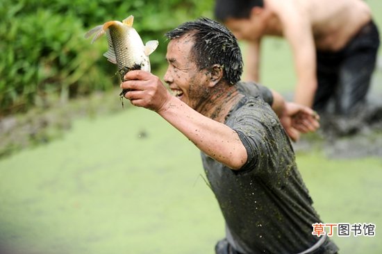 梦见抓到好多鱼是什么意思