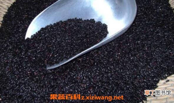 黑香米的功效与作用 黑香米的营养价值