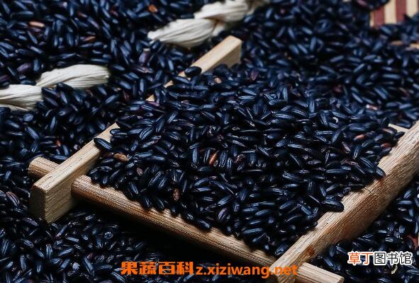 黑香米的功效与作用 黑香米的营养价值