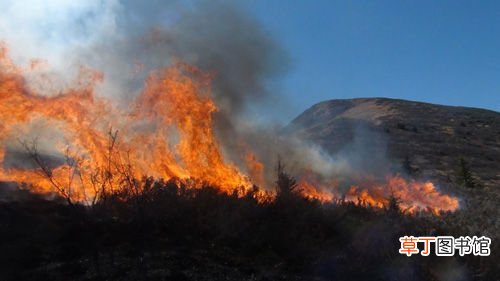 梦见别人的房子着火了是什么意思