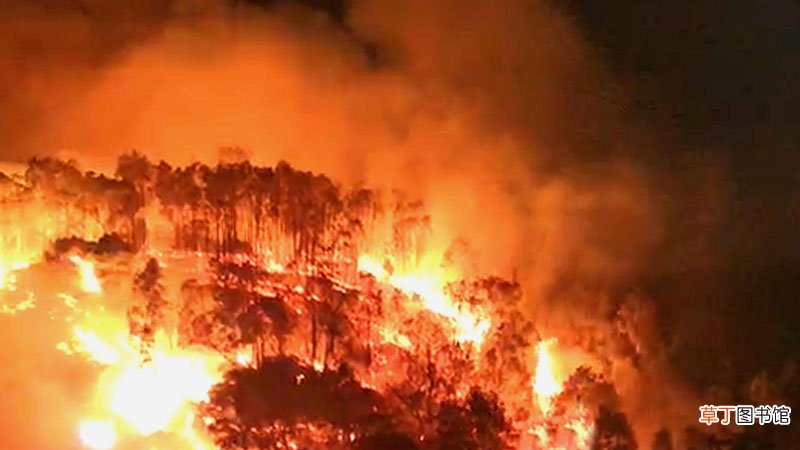 梦见山上着火了什么意思