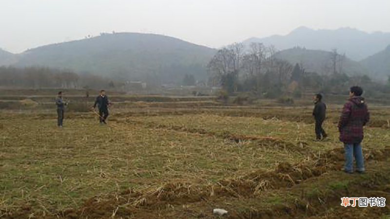 梦见买地皮是什么意思