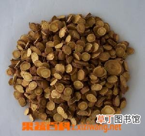 将军的功效与作用