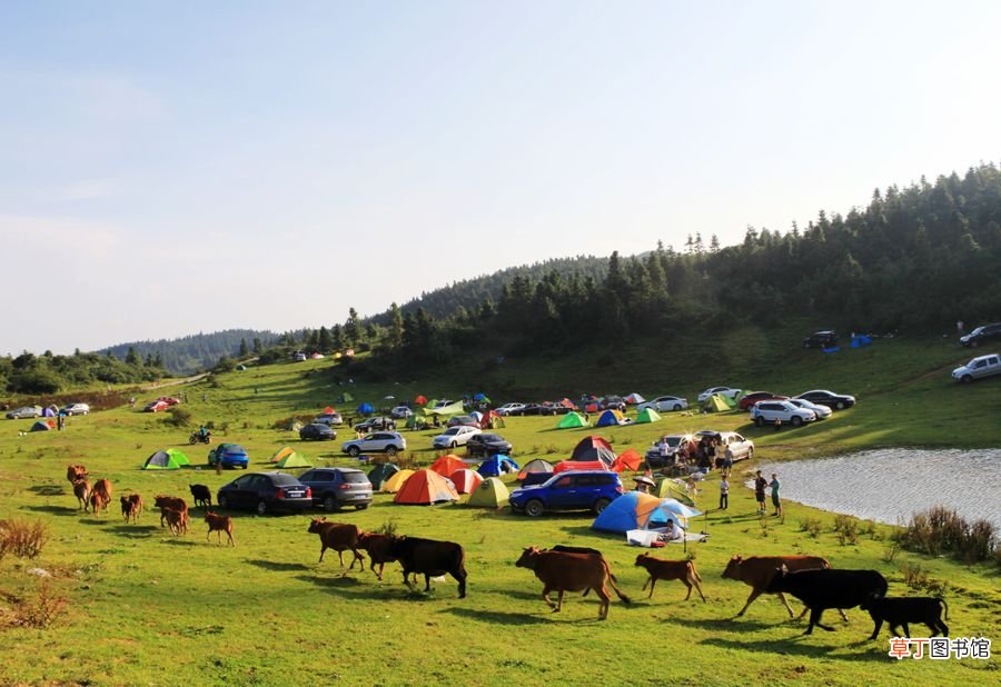 重庆仙女山旅游攻略 重庆仙女山一日游攻略