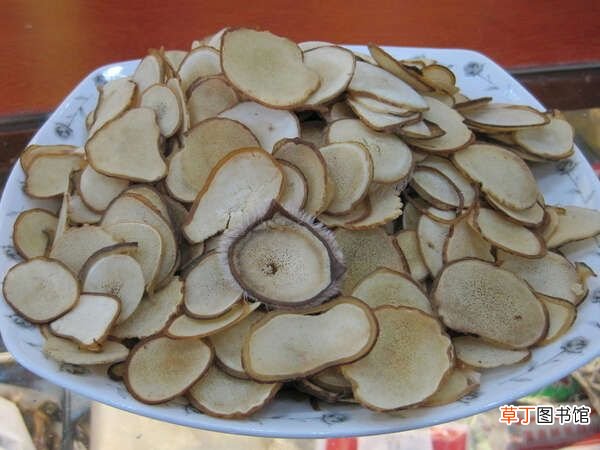 黄芩的功效与作用(黄芩的作用与功效是什么？）