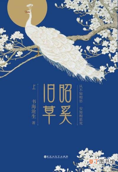 文笔好的结局be小说?结局be的虐心小说推荐