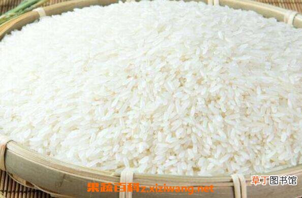全国最好吃的大米排名 什么大米最好吃