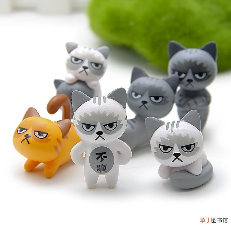 苦瓜脸与厌世脸的区别