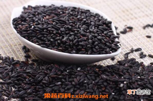 黑米和黑香米的区别 怎样鉴别黑米好坏