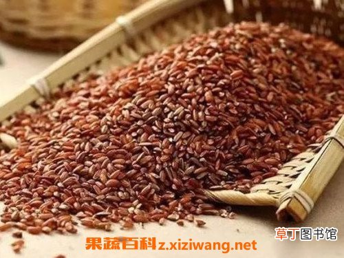 红糯米和黑糯米的区别