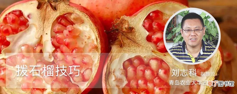 拨石榴技巧