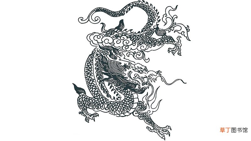 属龙人运势