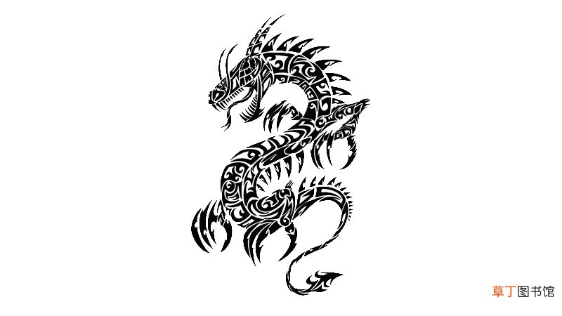 属龙人运势