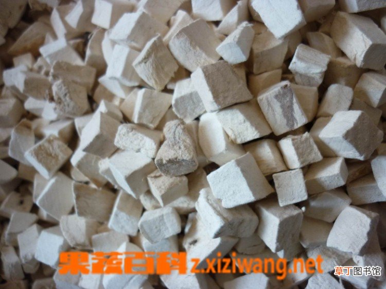 粉葛根的功效与作用