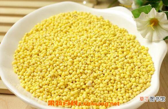 大黄米怎么吃最好 大黄米的正确食用方法
