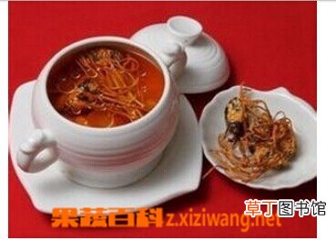 蛹虫草图片和功效 蛹虫草怎么吃