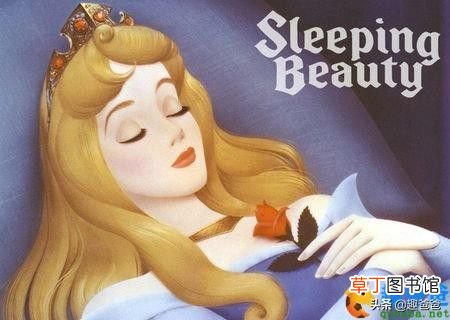 睡美人的故事 童话：睡美人的故事