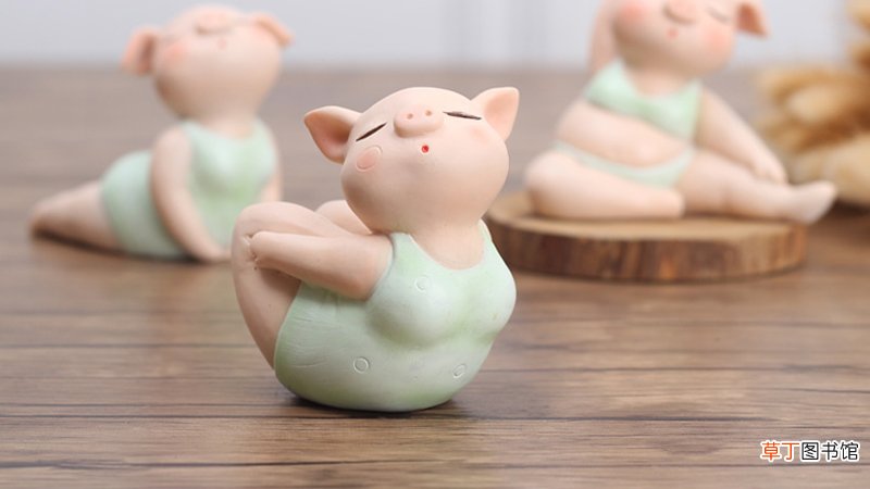 属猪和属猴的合不合