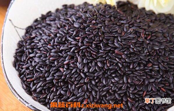 黑香米怎么吃 黑香米的做法教程