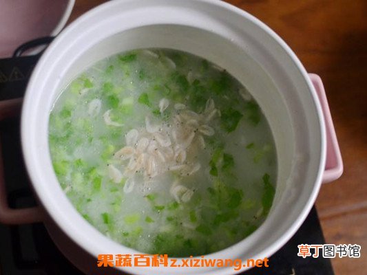 虾皮粥怎么做才好吃 虾皮粥的做法教程
