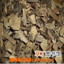 刺五加根的功效与作用