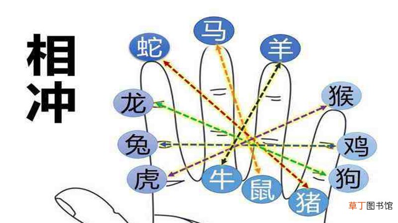 龙和羊合不合