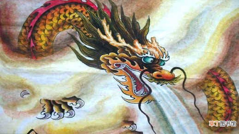 子女属龙和属猪合不合