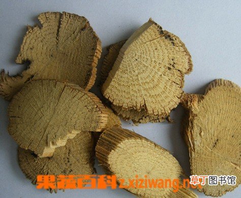 木通的作用与功效