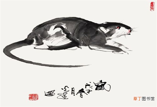 08年属什么生肖