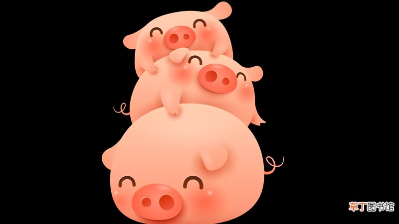 属猪人的婚姻与命运