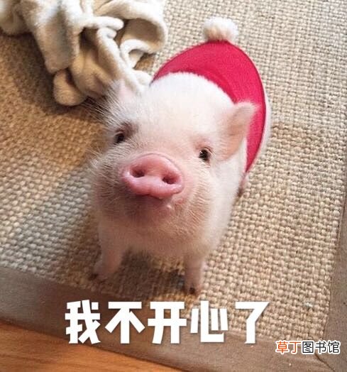 人为什么会打嗝 停止打嗝有妙招