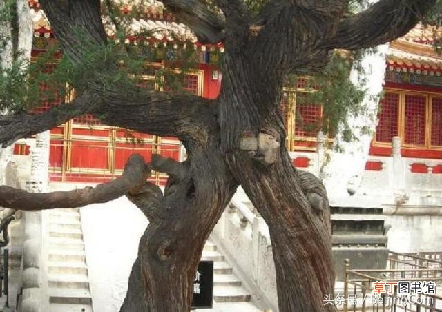 游览故宫应注意些什么 游故宫的忌讳