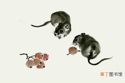 47岁是什么命势