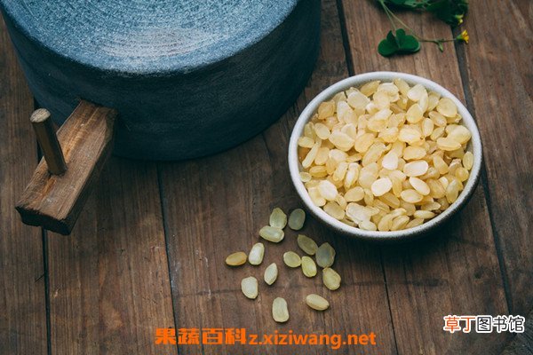 皂角米的功效与作用 皂角米什么人不能吃