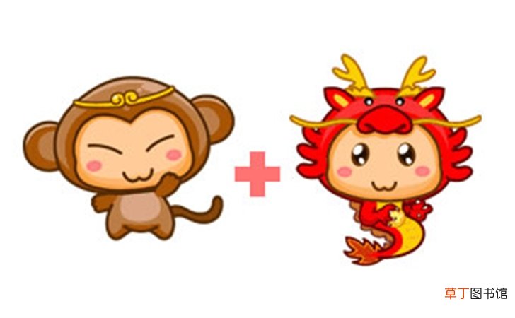 属猴和属龙的配吗