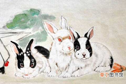 87年2019年运势如何