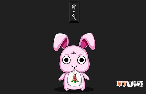 87年2019年运势如何