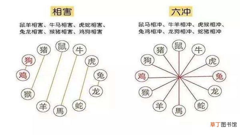 龙跟什么相冲