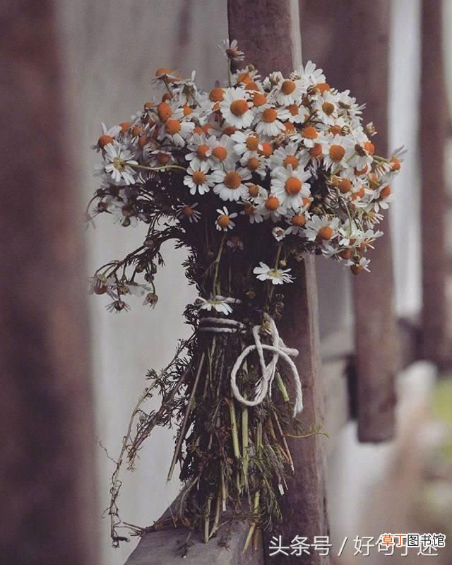 优美段落摘抄 优美的句子摘抄简短