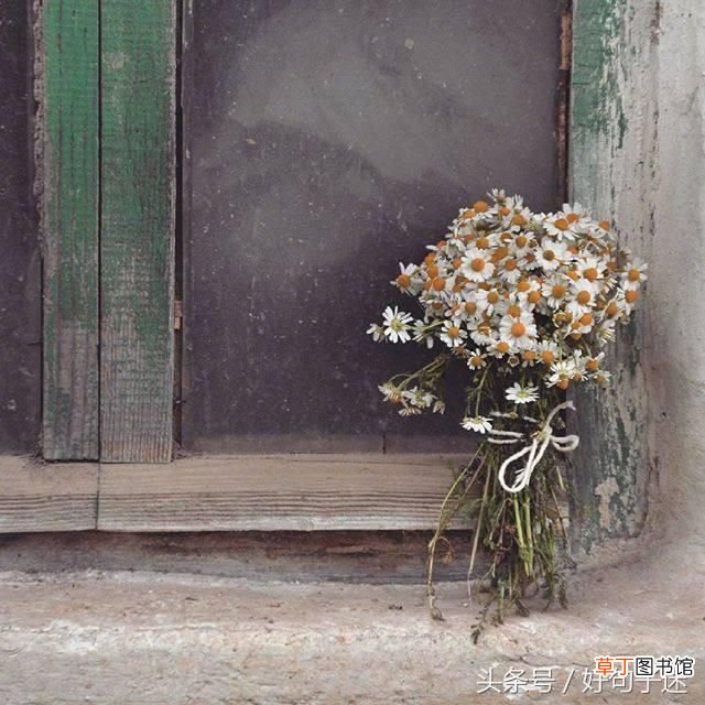 优美段落摘抄 优美的句子摘抄简短