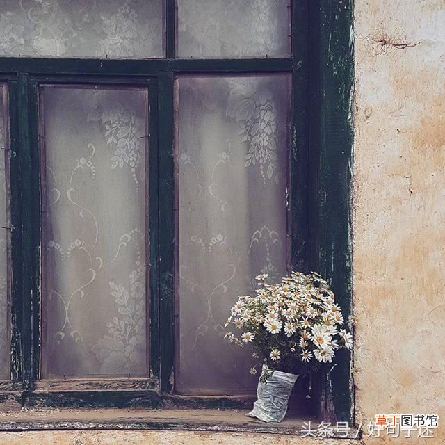 优美段落摘抄 优美的句子摘抄简短