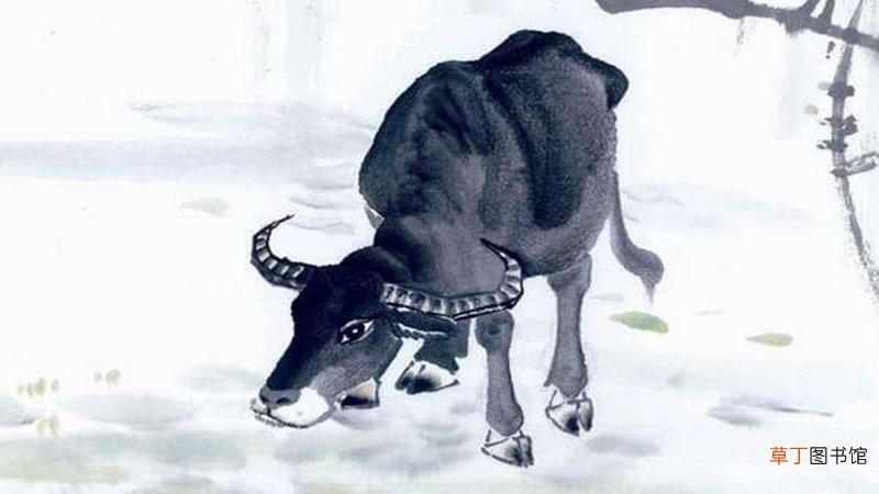 龙和牛属相合不合