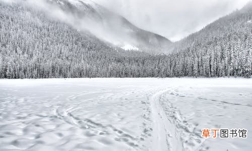 女人梦见下大雪是什么预兆