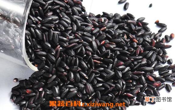 黑糯米的功效与作用 吃黑糯米的禁忌