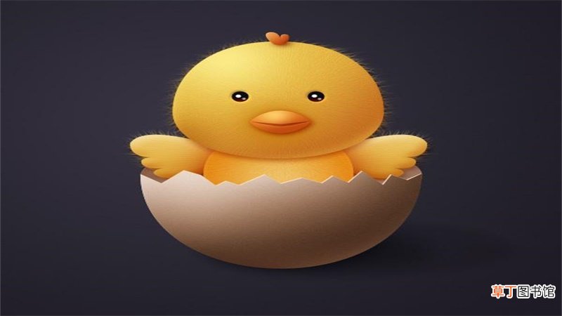 93属鸡几月的是凤凰命