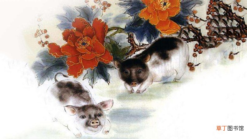 生肖猪和鼠配吗